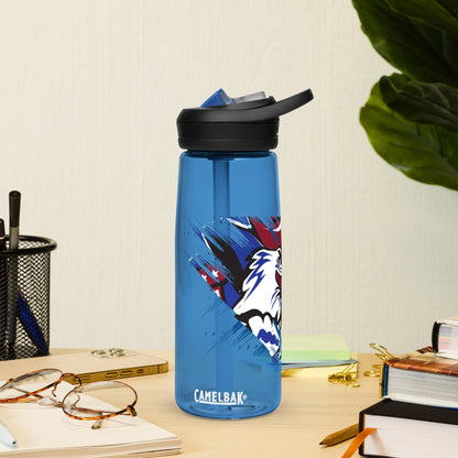 Sports water bottle