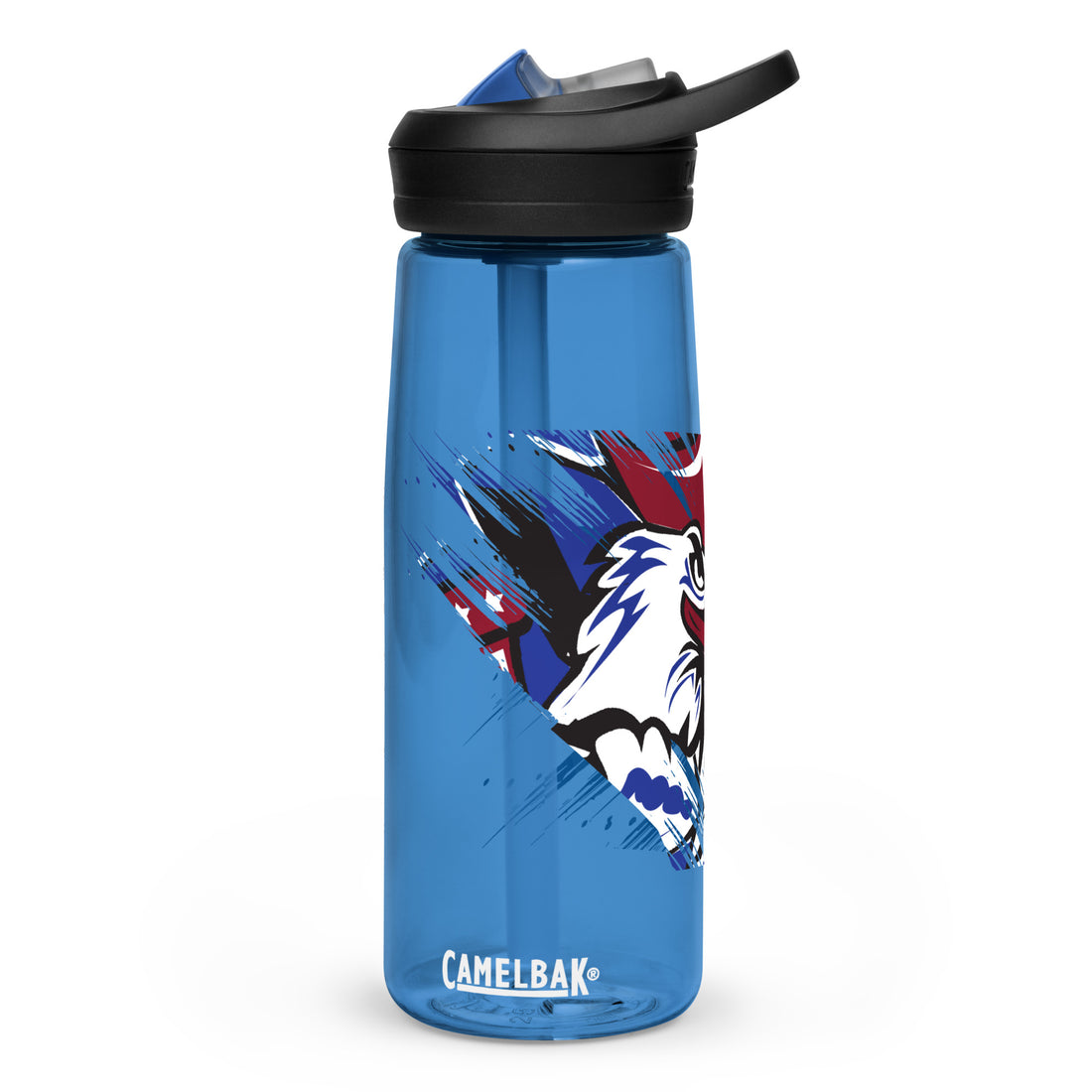 Sports water bottle